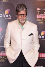 Amitabh Bachchan at Screen Awards red carpet in Mumbai on 12th Jan 2013 (457).JPG